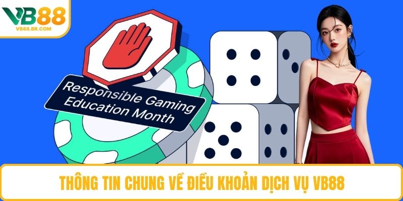 Thông tin chung về điều khoản dịch vụ VB88